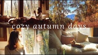 Cozy Autumn Days  autumn in the mountains & a cozy day reading & baking at home (meet my new kitty)