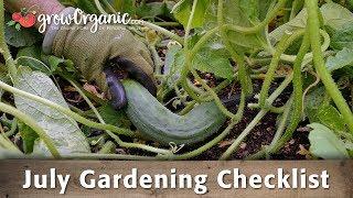 July Gardening Checklist: 15 Tips to Keep Your Organic Garden Going in the Dead of Summer