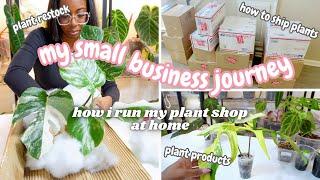 Small Business Journey: Rare Plant Restock,Soil Free Aroid Potting Mix,Watering & Fertilizing Plants