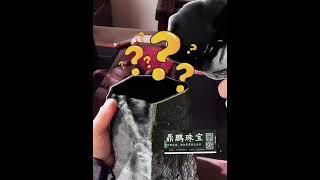 满色墨翠 #翡翠原石 #緬甸翡翠 #熱門 #翡翠原石直播 #玉