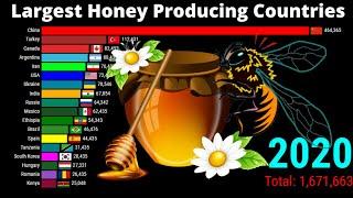 Top Honey Producing Countries | Honey Production by Countries ( 1960-2020 )