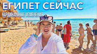 Египет 2024. УЖАС или РАЙ️Sunrise Remal Resort 4*. Шарм Эль Шейх. Море Пляж Все Включено