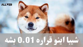 شیبا اینو قراره 0.01$ بشه/حواستو جمع کن عقب نمونی