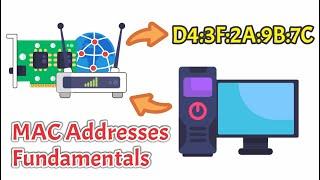 MAC Addresses Explained: Networking Basics