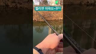 배스낚시 할때 바늘 조심하세요~ 찔리면 아픕니다~ #bass #bassfishing | Be careful |