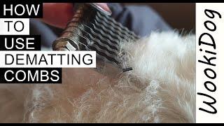 Dog Grooming DEMATTING Combs (Learn How to Groom a Matted Dog) | WookiDog [Maltese Shih Tzu]