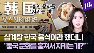 삼계탕이 한국 음식이라고 주장한 반크, 그랬더니 “중국의 문화를 훔쳐서 지키는 개?” 실환가요? / 14F