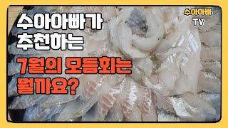 7월에 최고의 모둠회는 자연산 농어와 고랑치(등가시치) [수아아빠TV]