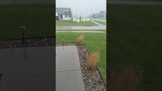 #bigrain