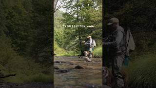 Small Stream Fly Fishing Leader