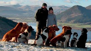 HIKING WITH OUR 11 GUNDOGS IN THE LAKE DISTRICT ️