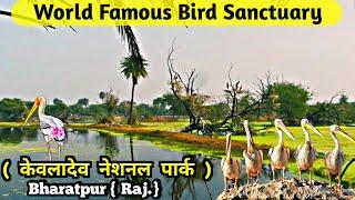 Keoladeo National Park | Bharatpur Bird Sanctuary | Ghana Pakshi Vihar #bharatpurbirdsanctuary