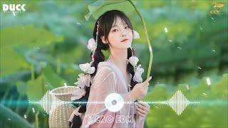 LK Nhạc Hoa Lời Việt Remix Hay Nhất 2024  Nhạc TikTok Trung Quốc Lời Việt Remix