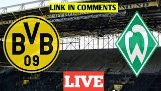 Borussia Dortmund VS Werder Bremen [FREE LIVE  - link in COMMENTS] 2023 - Live-Spiel kostenlos