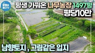 [횡성군 서원면  토지 매매] 지목-전 1497평 나무농장 각종 나무 식재된 상태 평당10만 접근성우수 입지조건 굿   매1억4900만 / 양평이좋다 매물번호 1344