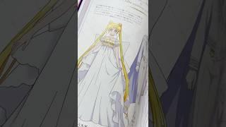 Sailor Moon Eternal Art Book