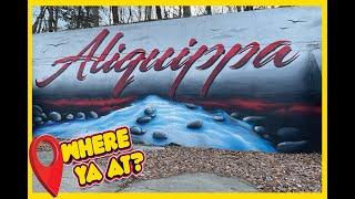 Aliquippa Quips