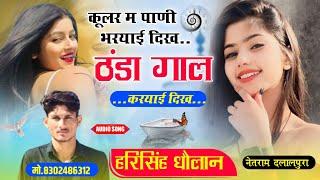 hari singh dholan !! कुलर मैं पाणी भरयाई दिख ठंडा ठंडा गाल करयाई दिख।। harisingh Dholan meena song