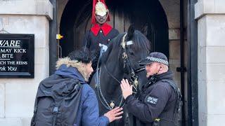 Tense Encounter: Confrontation with a Man Near Horse at Horse Guards, London