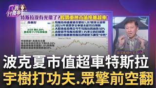 特斯拉嘩啦啦跌落神壇?重挫8%市值被波克夏超車! 市場壓力下..特斯拉暴跌逾8%"市值跌破1兆美元"!│陳斐娟 主持│20250302│關我什麼事 feat.王尚智