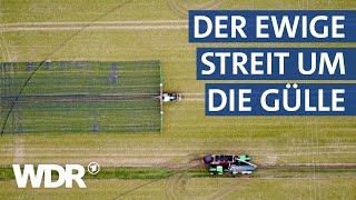 Warum streiten Landwirtschaft und Umweltverbände über Düngeregeln? | Westpol | WDR