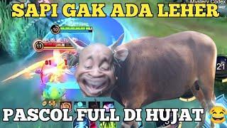 SAPI GAK ADA LEHER PASCOL FULL DI HUJAT 