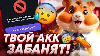 НАЧАЛОСЬ ! БАНЫ в ХАМСТЕР КОМБАТ / Блокировка аккаунтов в Hamster Kombat - Разоблачение Хомяк Крипта