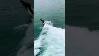 Surfing in California. #life #nature #lifestyle #travel #beach #vacation #pakistan #desi #india