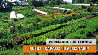 Permakültür - Susuz / İlaçsız / Organik Tarım / Hügelkültür