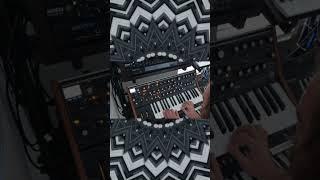 NOISE SOLO ON THE MOOG! | Songwriting with Alec