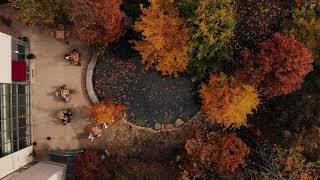 Autumn Aerial Views Of Arcadia University (4K)