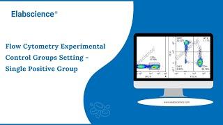 Flow Cytometry Experimental Control Groups Setting - Single Positive Group