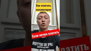 Как правильно отвечать коллекторам если нечем платить кредиты и микрозаймы#shorts