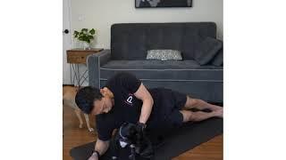 Prehab At Home (Dog Workout)