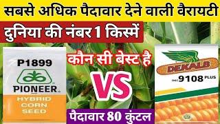 मक्का की उत्तम किस्में//makka ki top variety//makka ki best variety//best corn variety//corn farming