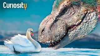 How Dinosaurs Evolved Into Birds | Survivors: A New Theory