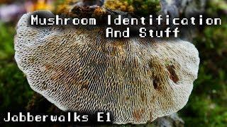 Jabberwalks E1 - Moist Mushrooms and More