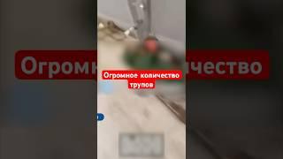 ВИДЕО ИЗ РОСТОВА! Горы российских солдат  #shorts #россияне  #сво