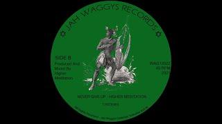 Jah Waggys Dubplate Selection Vol.35-12"-Never Give Up / Higher Meditation