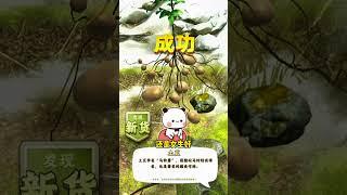 #夺笋高手 #休闲游戏#休闲游戏 #手机游戏 #游戏 #游戏解说 #小游戏