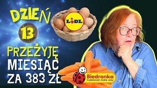 #13 TEST ROSYJSKIEJ MINIMALNEJ W POLSCE - LIDL VS BEDRONKA/ Przyjaciele nakarmili zupę