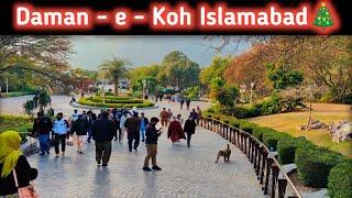 Daman e Koh Islamabad | Daman e Koh margalla hills Islamabad | Islamabad Daman e koh video