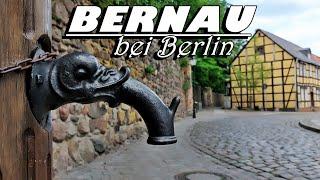 Bernau bei Berlin - Juni 2023 / Bernau bei Berlin (Land Brandenburg), Germany - June 2023