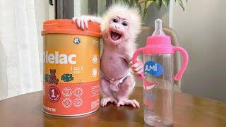 Monkey Baby Molly is excited when Dad bought her a bigger bottle