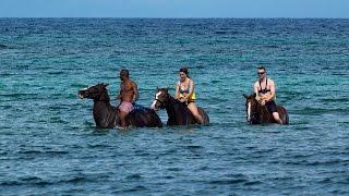 Flower Hill Jamaica - Swimming with Horses