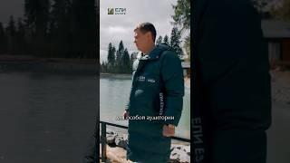 #елиestate #загородныйдом #коттеджныйпоселок