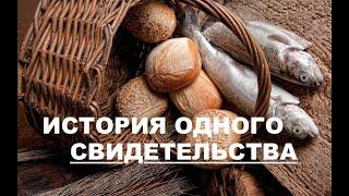 История одного свидетельства  - Вячеслав Бойнецкий