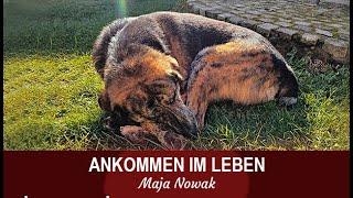 ANKOMMEN - Eine neue Reihe über das Leben - Teil  2 - von Maja Nowak