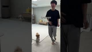 이사 온 시각장애인 아빠 길 알려주는 천재견 #시트콤