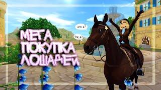 МЕГА ПОКУПКА ЛОШАДЕЙ В SSO | Star Stable Online